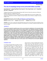 The role of autophagy during murine primordial follicle assembly