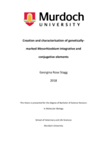 Creation and characterisation of genetically-marked Mesorhizobium integrative and conjugative elements