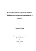 Why are the symbioses between some genotypes of Sinorhizobium and Medicago suboptimal for N2 fixation?