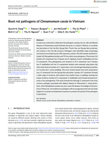 Root rot pathogens of Cinnamomum cassia in Vietnam