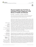Recent insights into the role of unfolded protein response in ER stress in health and disease