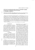 Ocular Chlamydiales infections of western barred bandicoots (Perameles bougainville) in Western Australia