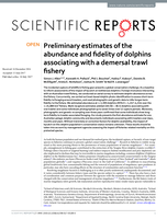 Preliminary estimates of the abundance and fidelity of dolphins associating with a demersal trawl fishery