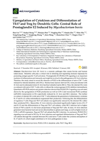 Upregulation of cytokines and differentiation of Th17 and Treg by dendritic cells: Central role of prostaglandin E2 induced by Mycobacterium bovis