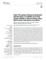 High-throughput sequencing-based identification of miRNAs and their target mRNAs in wheat variety Qing Mai 6 under salt stress condition