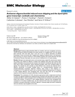 Antisense oligonucleotide induced exon skipping and the dystrophin gene transcript: Cocktails and chemistries