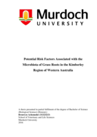 Potential risk factors associated with the microbiota of grass roots in the Kimberley region of Western Australia