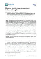 Australian tropical marine micromolluscs: An overwhelming bias
