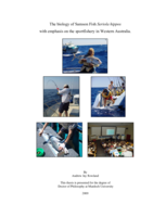 The biology of Samson Fish Seriola hippos with emphasis on the sportfishery in Western Australia
