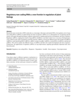 Regulatory non-coding RNAs: A new frontier in regulation of plant biology