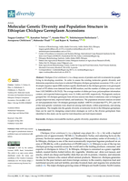 Molecular genetic diversity and population structure in Ethiopian chickpea germplasm accessions