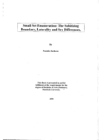 Small set enumeration: the subitizing boundary, laterality and sex differences