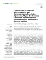 Coapplication of effective microorganisms and nanomagnesium boosts the agronomic, physio-biochemical, osmolytes, and antioxidants defenses against salt stress in Ipomoea batatas