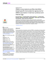 PBMCs transcriptome profiles identified breed-specific transcriptome signatures for PRRSV vaccination in German Landrace and Pietrain pigs