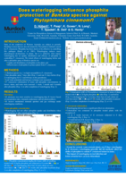 Does waterlogging influence phosphite protection of Banksia species against Phytophthora cinnamomi?