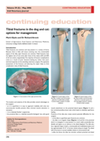 Tibial fractures in the dog and cat: Options for management