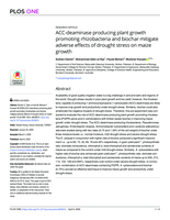 ACC-deaminase producing plant growth promoting rhizobacteria and biochar mitigate adverse effects of drought stress on maize growth