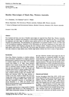 Benthic macroalgae of Shark Bay, Western Australia