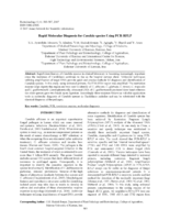Rapid molecular diagnosis for-candida species using PCR-RFLP