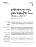Attempt to silence genes of the RNAi pathways of the root-knot nematode, Meloidogyne incognita results in diverse responses including increase and no change in expression of some genes