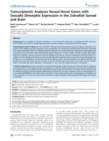 Transcriptomic analyses reveal novel genes with sexually dimorphic expression in the Zebrafish gonad and brain