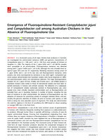Emergence of fluoroquinolone-resistant Campylobacter jejuni and Campylobacter coli among Australian chickens in the absence of fluoroquinolone use