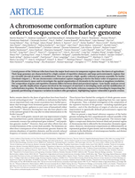 A chromosome conformation capture ordered sequence of the barley genome