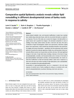 Comparative spatial lipidomics analysis reveals cellular lipid remodelling in different developmental zones of barley roots in response to salinity