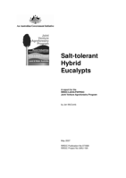 Salt-tolerant hybrid eucalypts