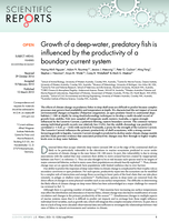 Growth of a deep-water, predatory fish is influenced by the productivity of a boundary current system