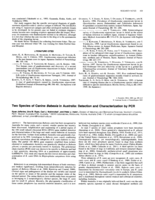 Two Species of Canine Babesia in Australia: Detection and Characterization by PCR