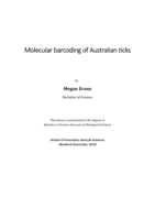 Molecular barcoding of Australian ticks