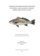 Comparisons of the biological and genetic characteristics of the Mulloway Argyrosomus japonicus (Sciaenidae) in different regions of Western Australia