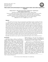 Maize hybrids with well-developed root system perform better under deficit supplemental irrigation