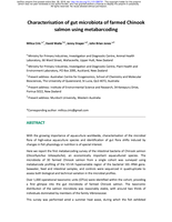 Characterisation of gut microbiota of farmed Chinook salmon using metabarcoding