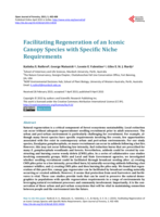 Facilitating regeneration of an iconic canopy species with specific niche requirements