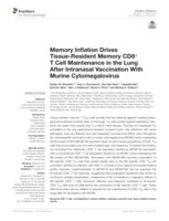 Memory Inflation Drives Tissue-Resident Memory CD8+ T Cell Maintenance in the Lung After Intranasal Vaccination With Murine Cytomegalovirus