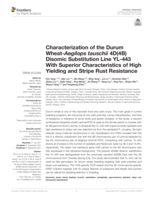 Characterization of the durum wheat-Aegilops tauschii 4D(4B) disomic substitution line YL-443 with superior characteristics of high yielding and stripe rust resistance
