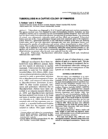 Tuberculosis in a captive colony of pinnipeds