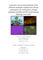 A genomic survey and prediction of the infection strategies employed by Phoma medicaginis var. medicaginis, a fungal pat hogen of alfalfa and the model legume Medicago truncatula