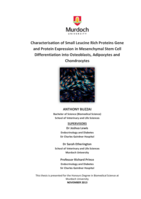 Characterisation of small leucine rich proteins gene and protein expression in mesenchymal stem cell differentiation into osteoblasts, adipocytes and chondrocytes
