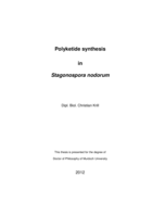Polyketide synthesis in Stagonospora nodorum