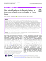 First identification and characterisation of Brachyspira hyodysenteriae in pigs in Hong Kong