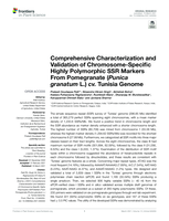 Comprehensive characterization and validation of chromosome-specific highly polymorphic SSR Markers from Pomegranate (Punica granatum L.) cv. Tunisia Genome