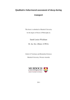 Qualitative behavioral assessment of sheep during transport
