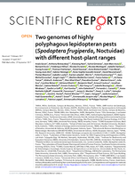 Two genomes of highly polyphagous lepidopteran pests (Spodoptera frugiperda, Noctuidae) with different host-plant ranges