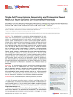 Single-Cell transcriptome sequencing and proteomics reveal neonatal Ileum dynamic developmental potentials