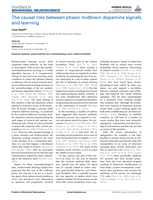 The causal role between phasic midbrain dopamine signals and learning