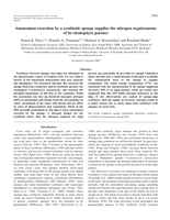 Ammonium excretion by a symbiotic sponge supplies the nitrogen requirements of its rhodophyte partner
