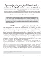 Tumor cells, rather than dendritic cells, deliver antigen to the lymph node for cross-presentation